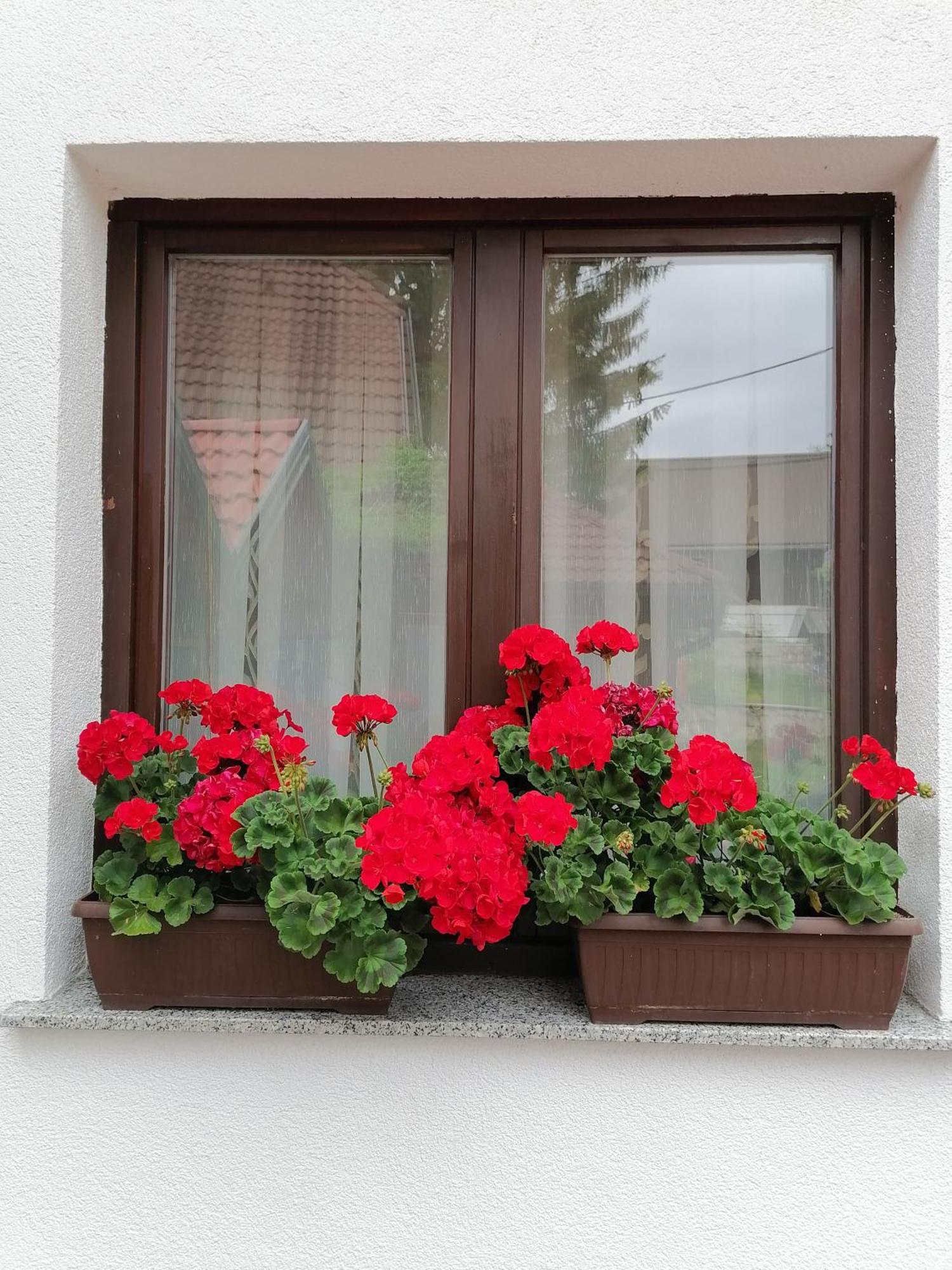 House Jezerka Hotel Jezerce Room photo
